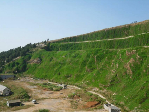 生態(tài)袋施工案例