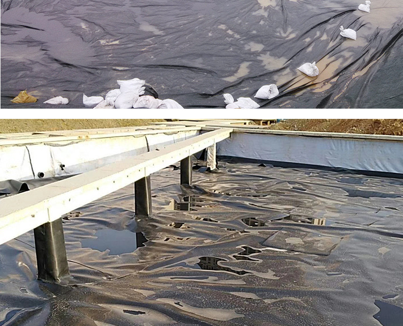 1618537854300668.jpg 12.jpg