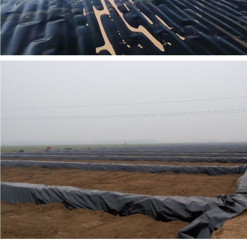 1618537867639608.jpg 14.jpg