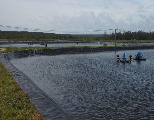 1619136789886433.jpeg 魚塘.jpeg