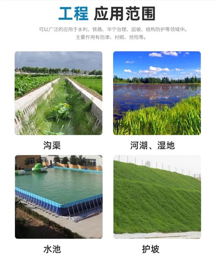 1621315907136790.jpg 2.jpg